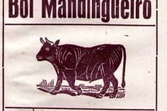 folhetos_67_historia_boi-frente